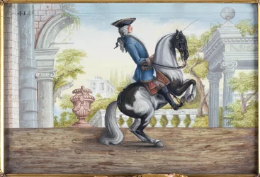A skewbald horse of the Spanish Riding School performing the Pesade