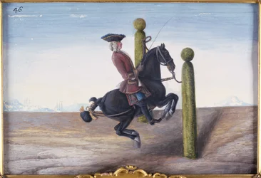 No. 46 A Bay Horse of the Spanish Riding School Performing a Dressage Movement Called the Croupade