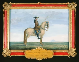 No. 9 A Grey Horse of the Spanish Riding School, from the Stud of the Count of Kaunitz in Bohemia