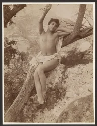 [Youth in a tree with arm raised]