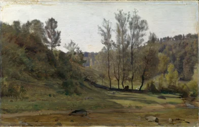 Stream in the Meadow