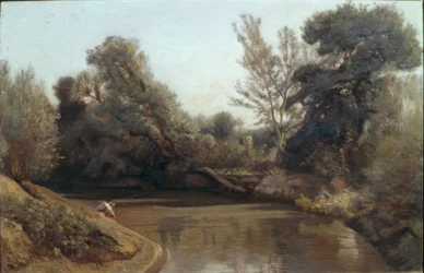 The River