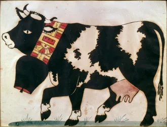 Cow