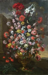 Unknown Image