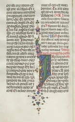 Missale: Fol. 22v: Foliage with Fish