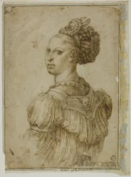 Ideal Bust of a Woman