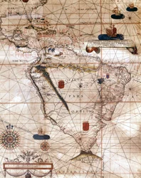 Map of South America. Portulan by Bartolomeo Velhio