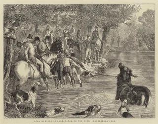 Stag Hunting in Surrey, taking the Deer, Shackleford Pond