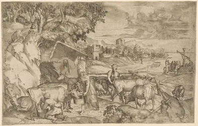 Landscape with cattle