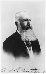 Portrait of Leopold II (1835-1909) King of Belgium