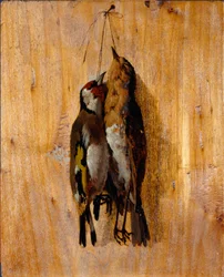 Study of Two Dead Birds Pinned on the Wall