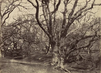 Pepperharrow Park, Surrey, 1852-54