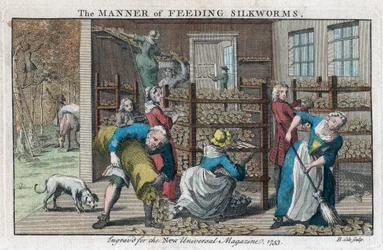 The Manner of Feeding Silkworms, 1753