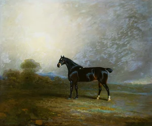 Bembo, a Favourite Hunter of Charles Shuttleworth, Esq., 1802