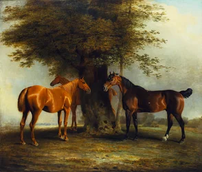 Hunters at Grass, 1801