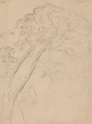 Costume Study for the Portrait of a Lady