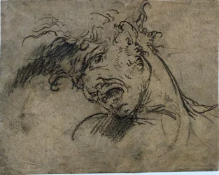 Head of a Screaming Man (recto)