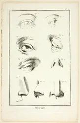 Design: Facial Anatomy from Encyclopédie