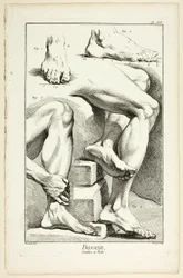 Design: Legs and Feet, from Encyclopédie