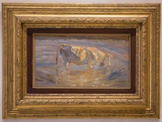 Cow