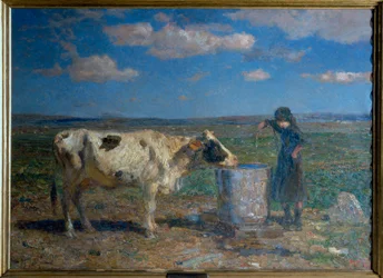 Midday on the High Plains