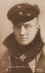 Portrait of Manfred von Richthofen 1892-1918, 1918