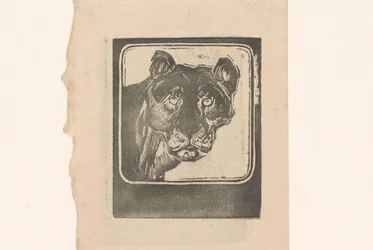 Head of a Lioness