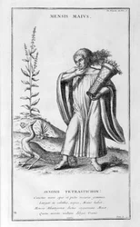 A Representation of May, 1757