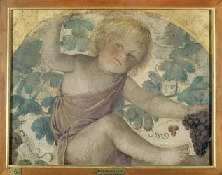 Harvesting Putti - Putto Under a Pergola