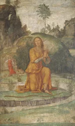 Procris