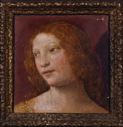 The Head of an Angel (a fragment)