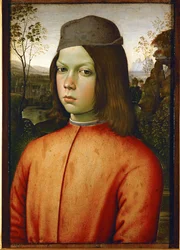 Portrait of a Young Boy