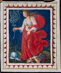 The Piccolomini Library, the Ceiling, Panel with Allegory of Peace, Fresco by Bernardino di Betto, Known as Pinturicchio