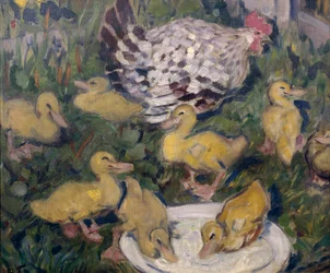 Hen with Ducklings