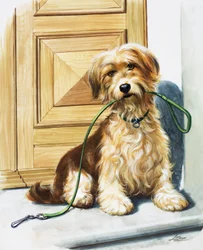 Dog holding lead in its mouth