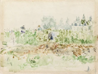 Dans les vignes