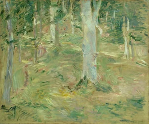Forest of Compiègne