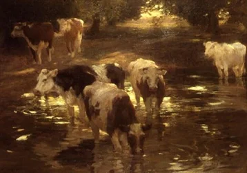 The Watering Spot