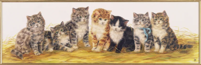 Seven Kittens