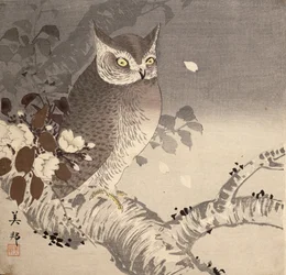 An Owl on a Tree Branch