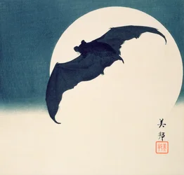 Bat and Full Moon