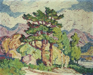 Aspens and Pines, Estes Park, Colorado