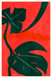 Monstera Jungle Leaves