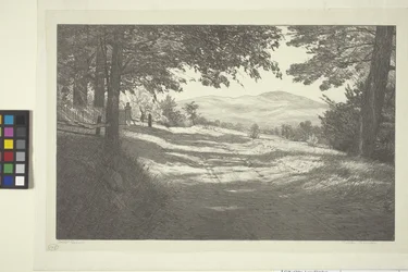 North View