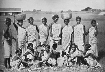 A Group of Kol Girls, 1902