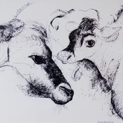 Calves, Gt Garnetts II