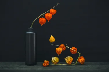 Chinese Lantern Glow