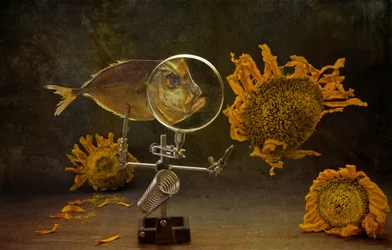 Curious Nature Still Life