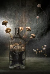 Dark Mushroom Fantasy