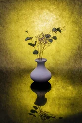 Golden Floral Reflection